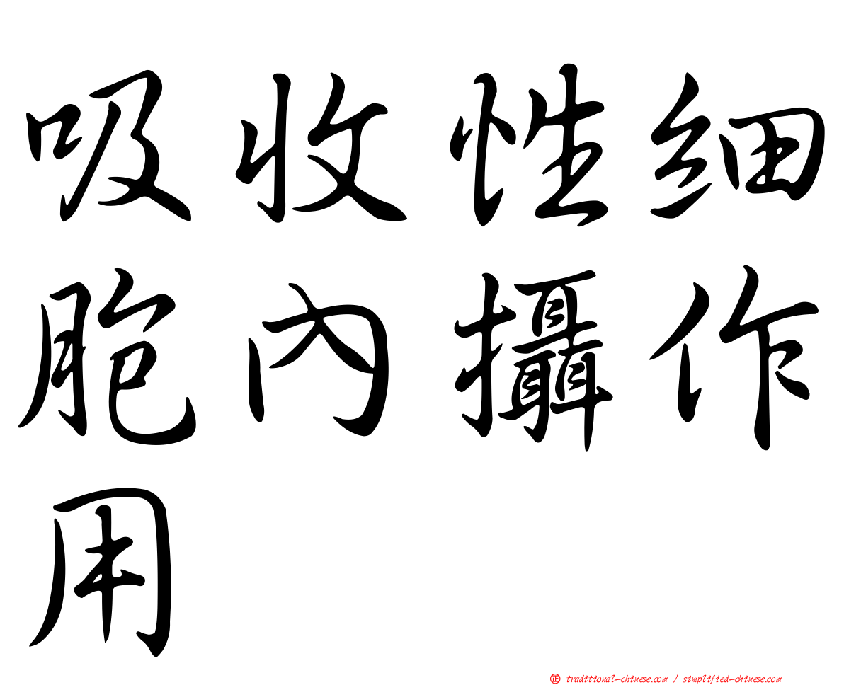 吸收性細胞內攝作用