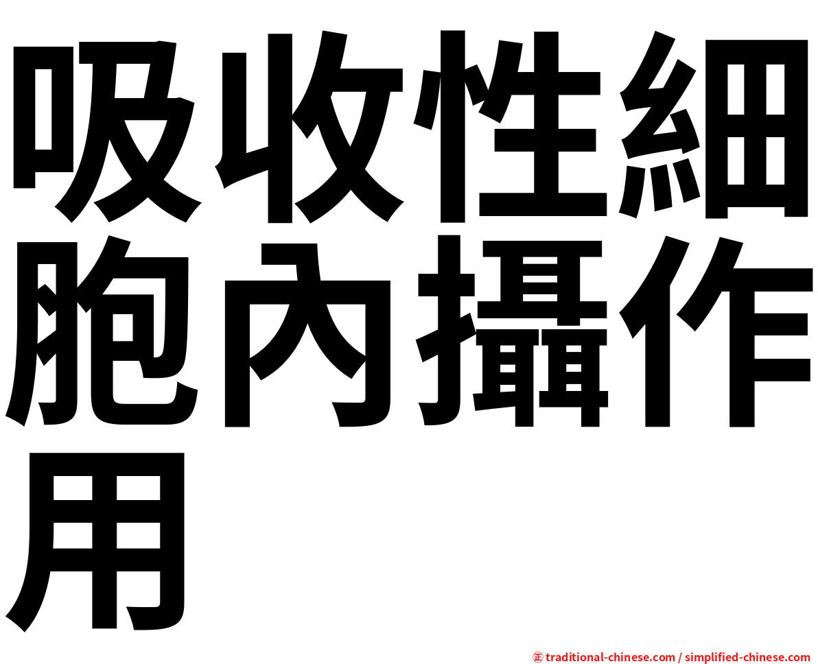 吸收性細胞內攝作用