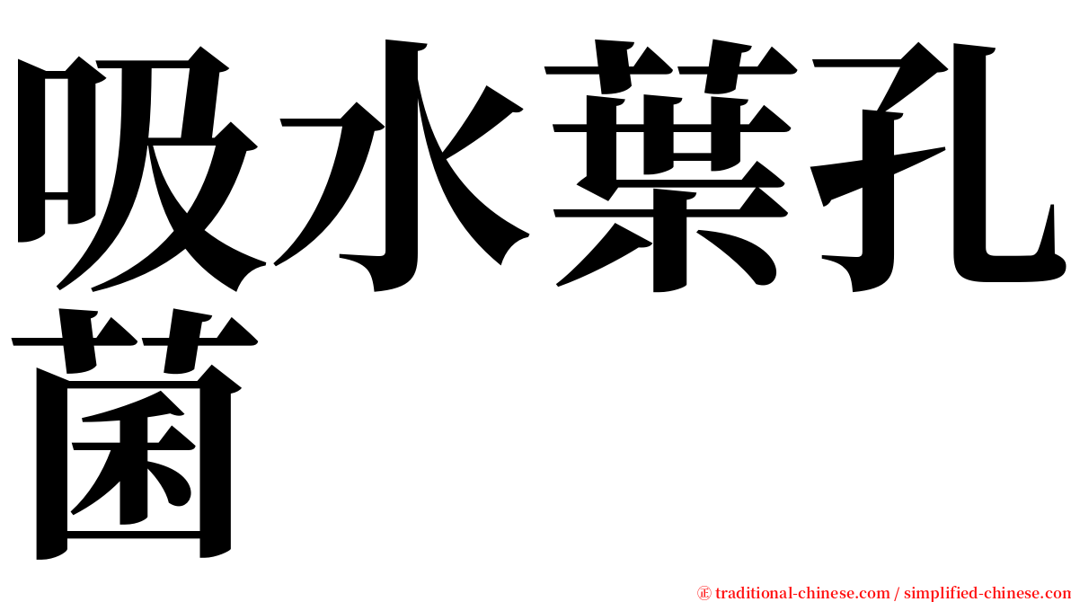 吸水葉孔菌 serif font