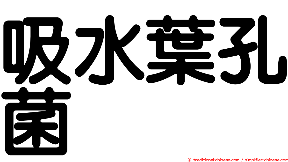 吸水葉孔菌