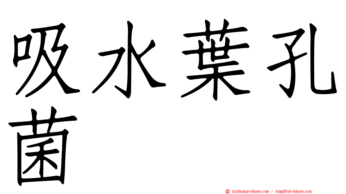 吸水葉孔菌