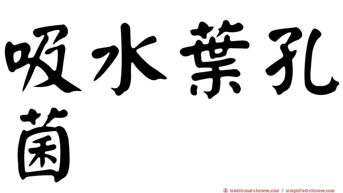 吸水葉孔菌