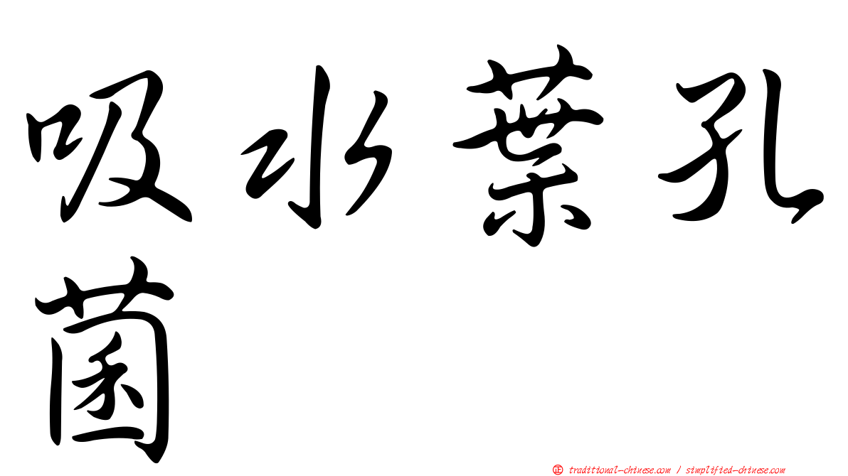 吸水葉孔菌