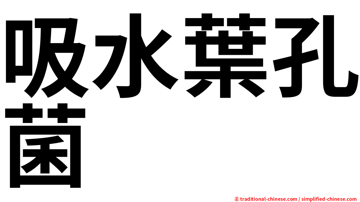 吸水葉孔菌