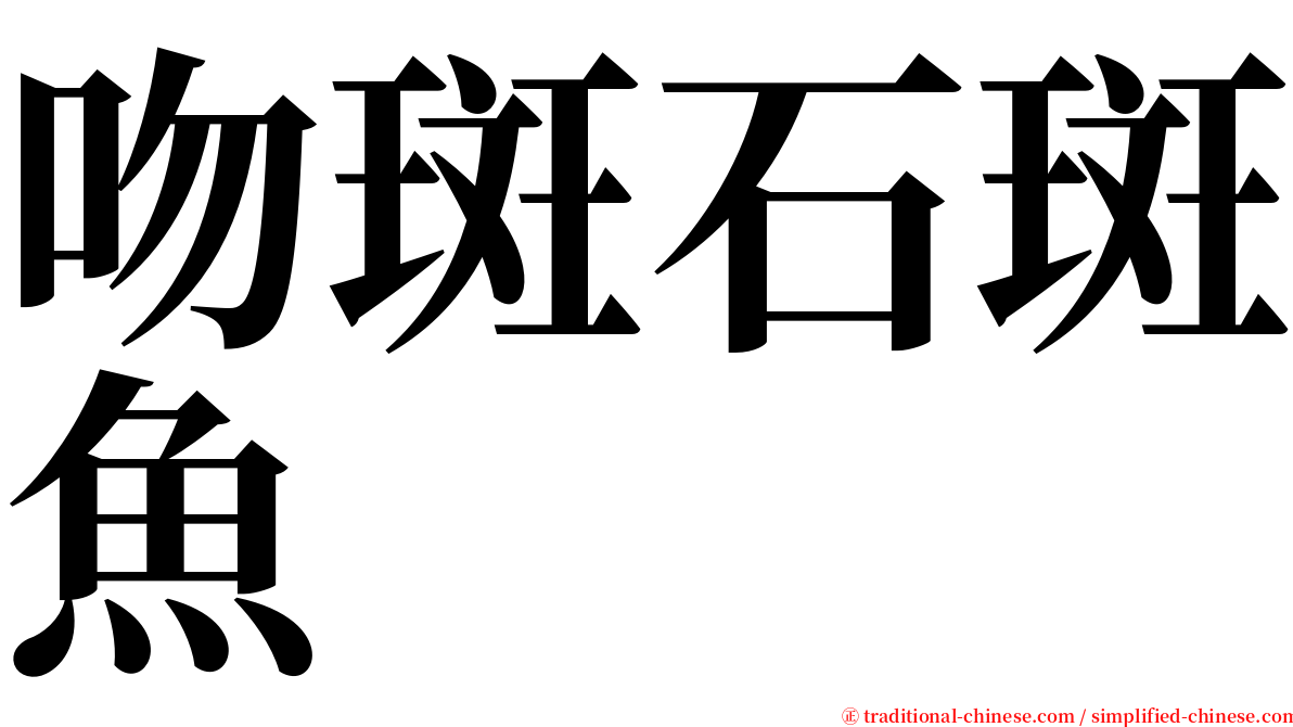 吻斑石斑魚 serif font