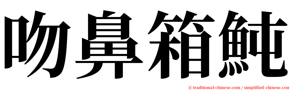 吻鼻箱魨 serif font