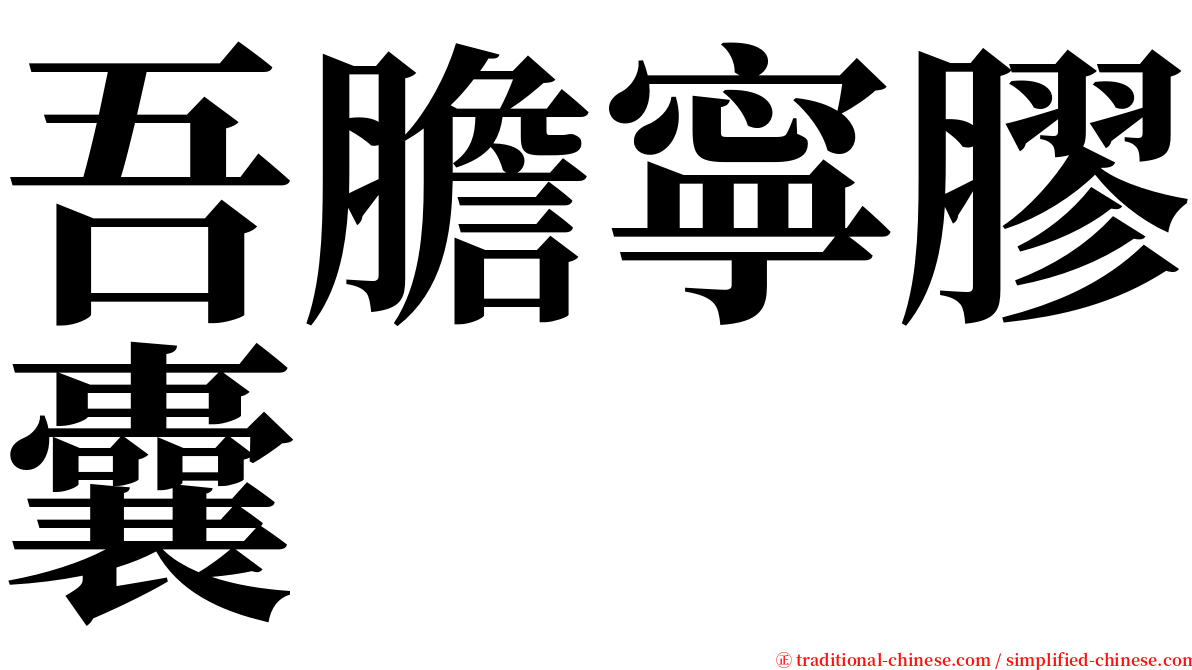 吾膽寧膠囊 serif font