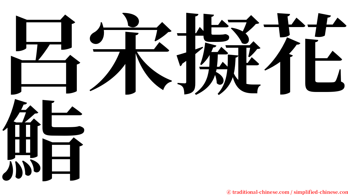 呂宋擬花鮨 serif font