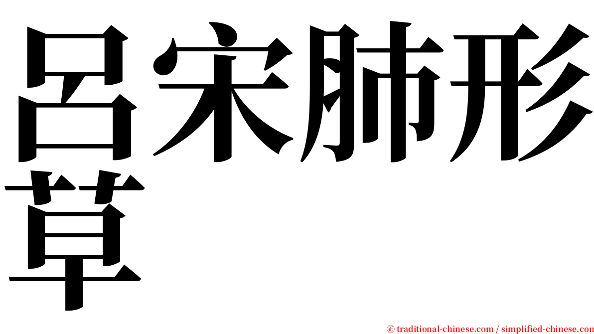 呂宋肺形草 serif font