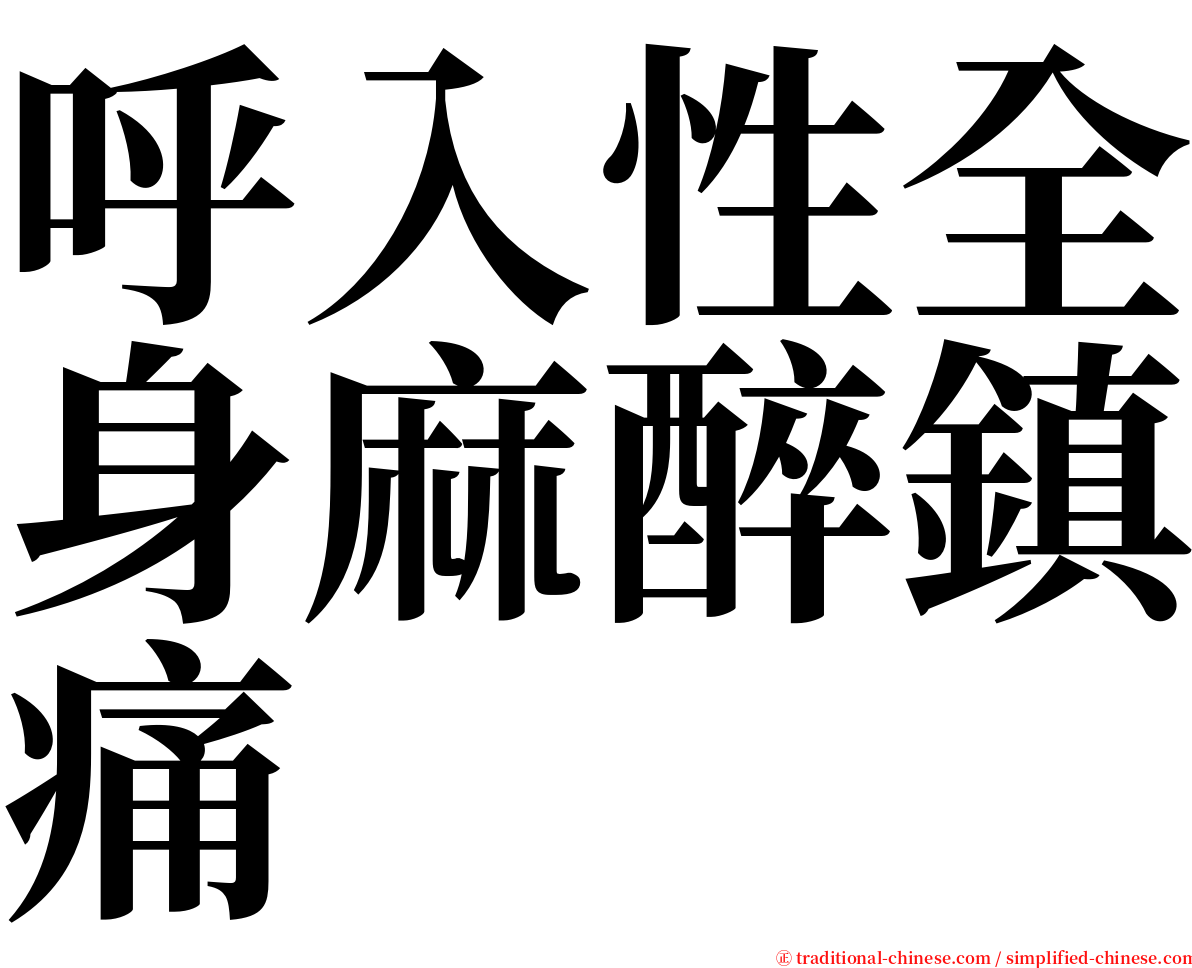 呼入性全身麻醉鎮痛 serif font