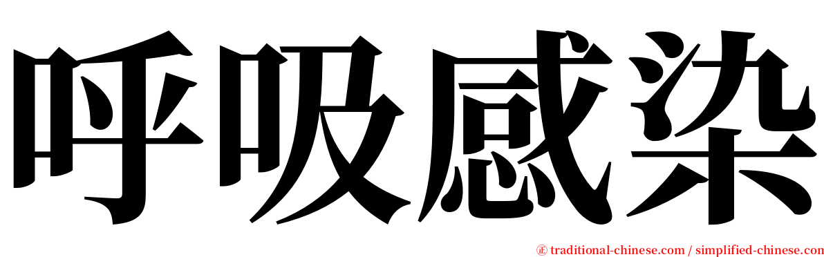 呼吸感染 serif font