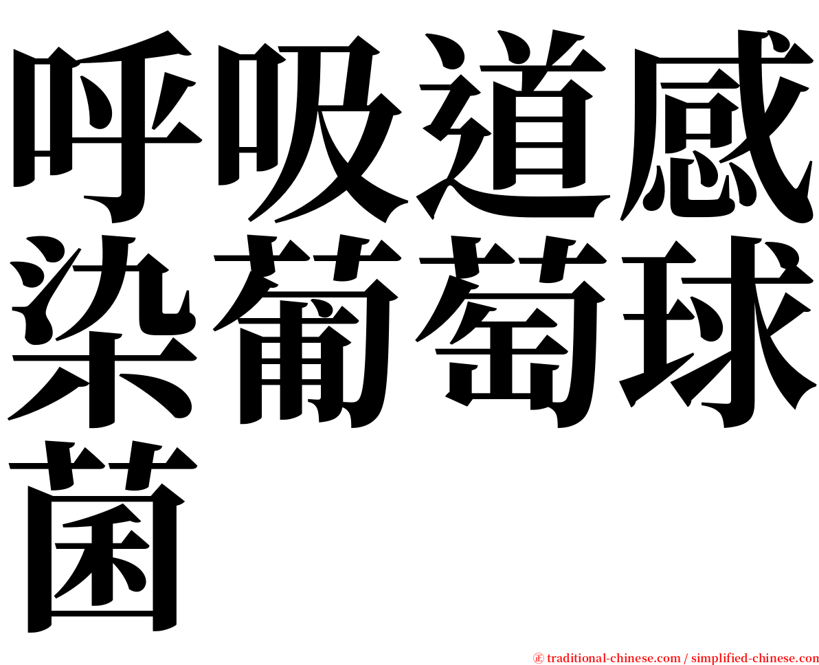 呼吸道感染葡萄球菌 serif font