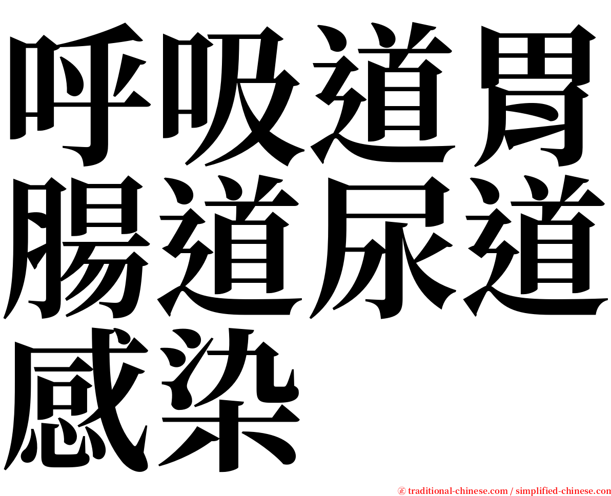 呼吸道胃腸道尿道感染 serif font