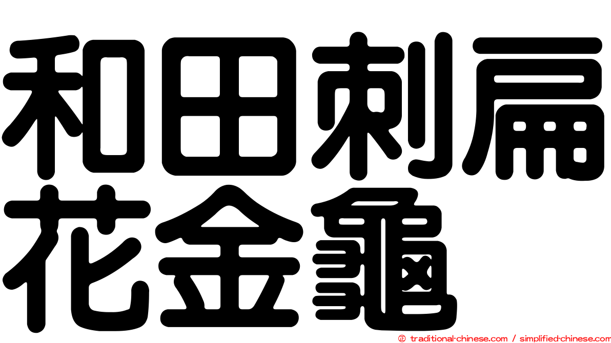 和田刺扁花金龜