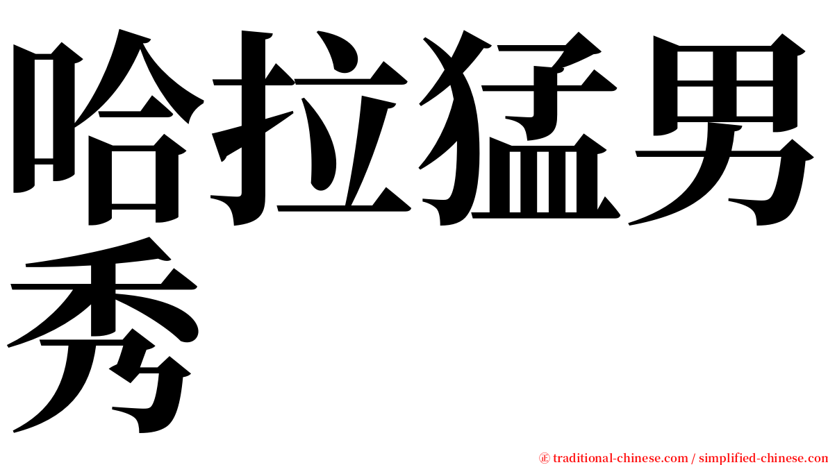 哈拉猛男秀 serif font