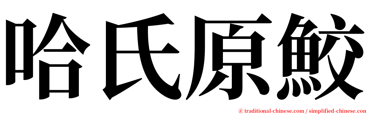 哈氏原鮫 serif font