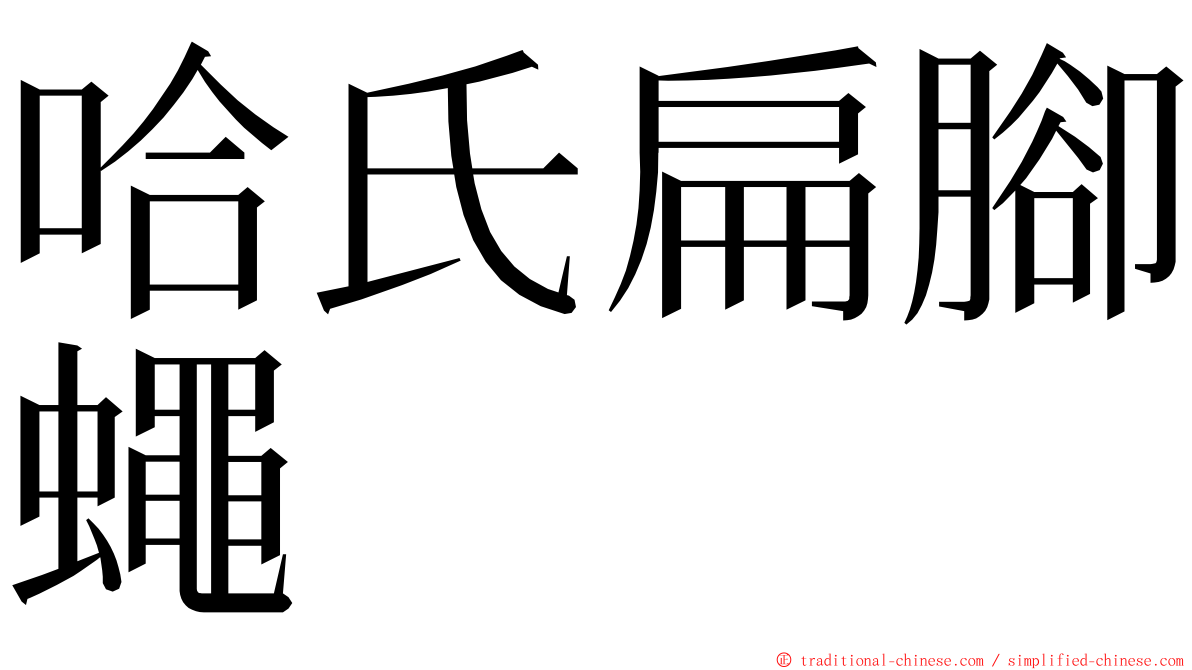 哈氏扁腳蠅 ming font