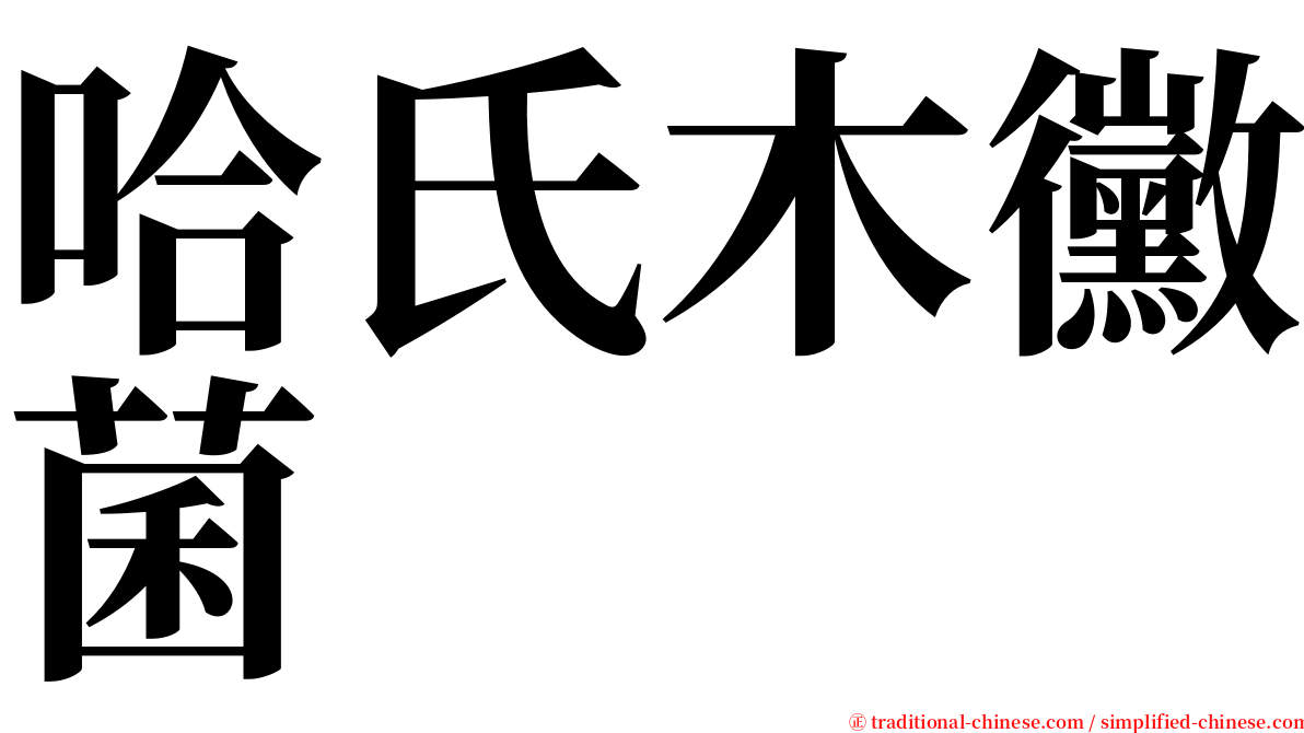 哈氏木黴菌 serif font