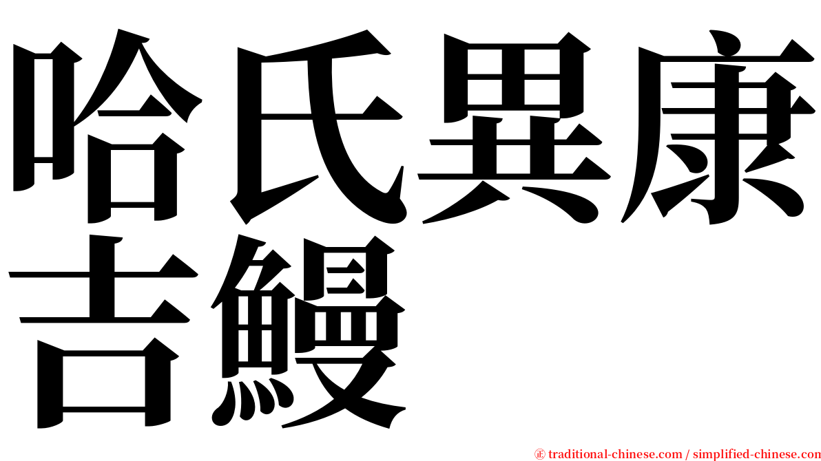 哈氏異康吉鰻 serif font