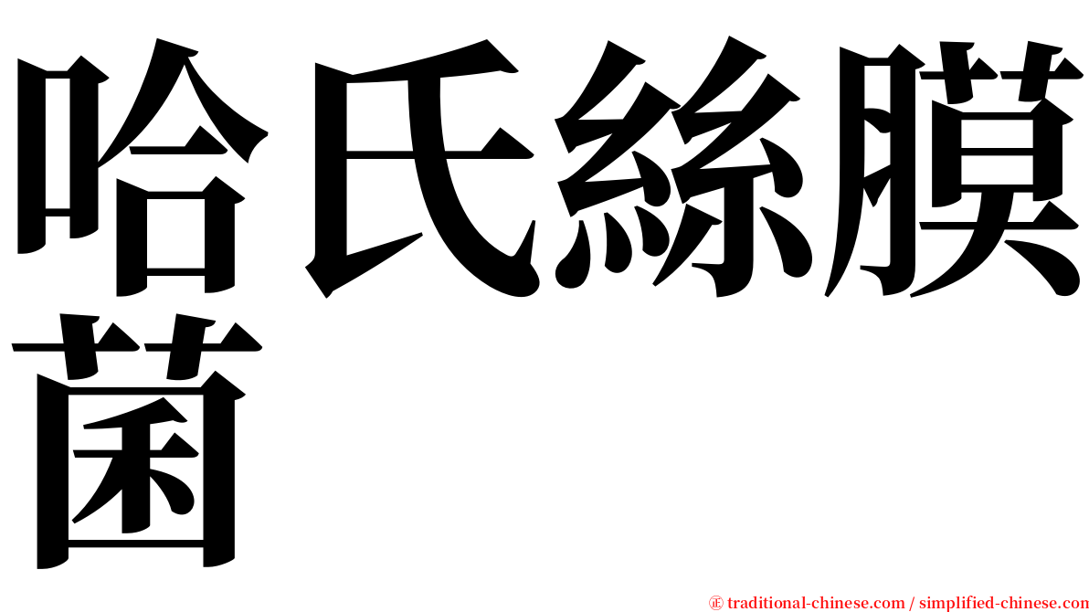 哈氏絲膜菌 serif font