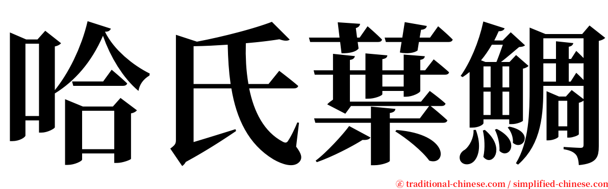 哈氏葉鯛 serif font