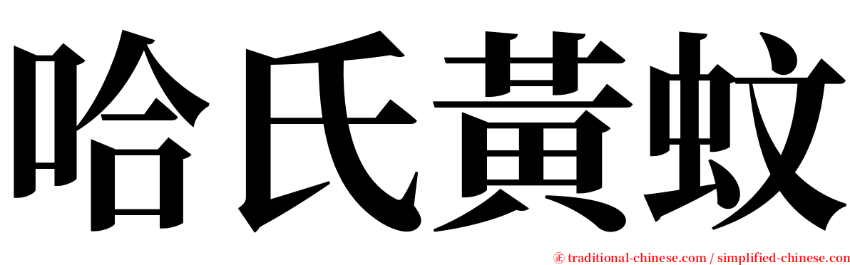 哈氏黃蚊 serif font