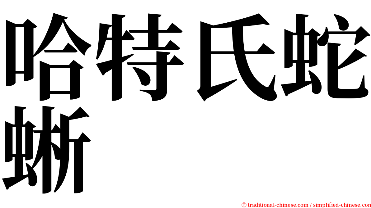 哈特氏蛇蜥 serif font