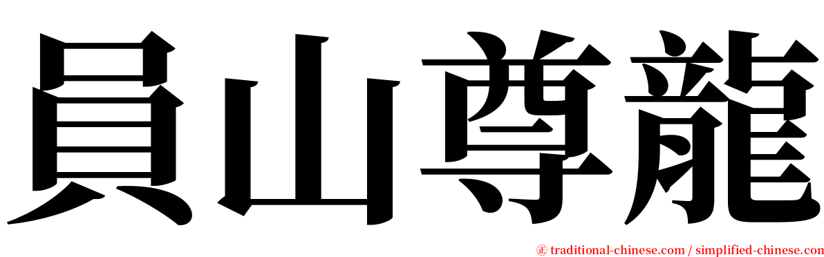 員山尊龍 serif font