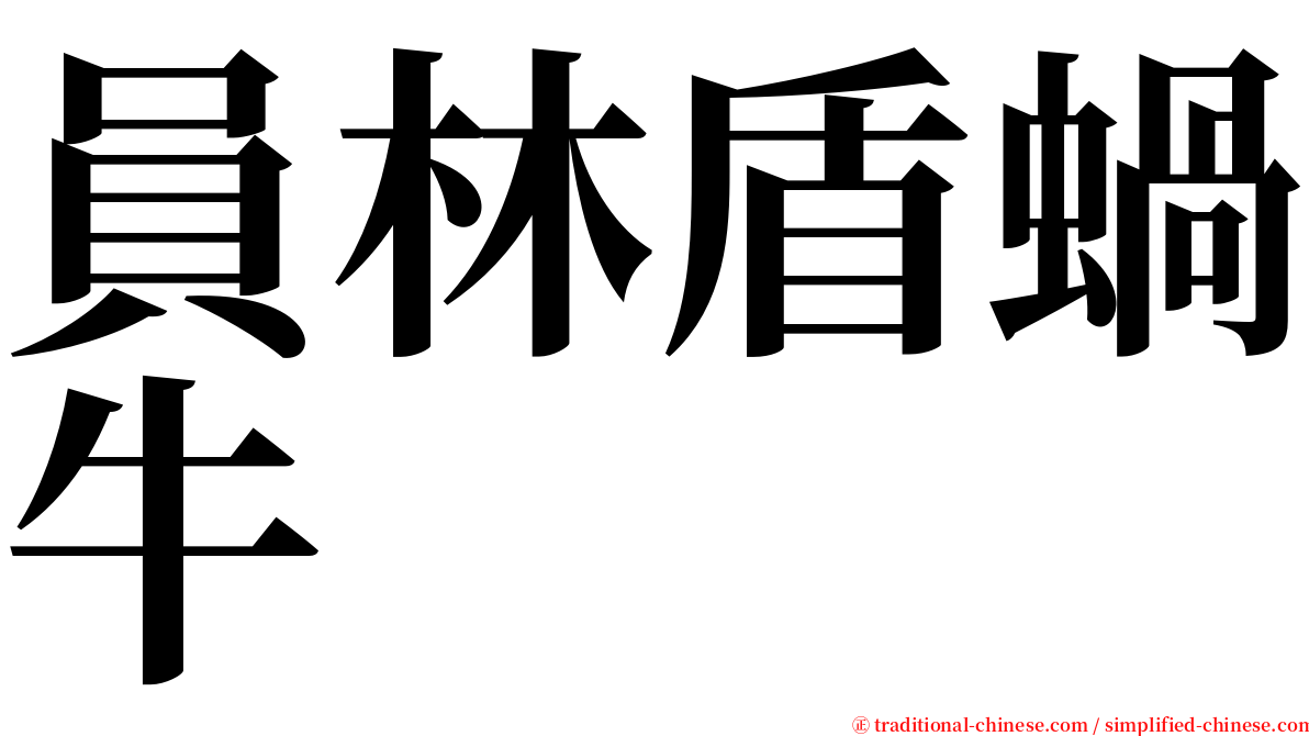 員林盾蝸牛 serif font