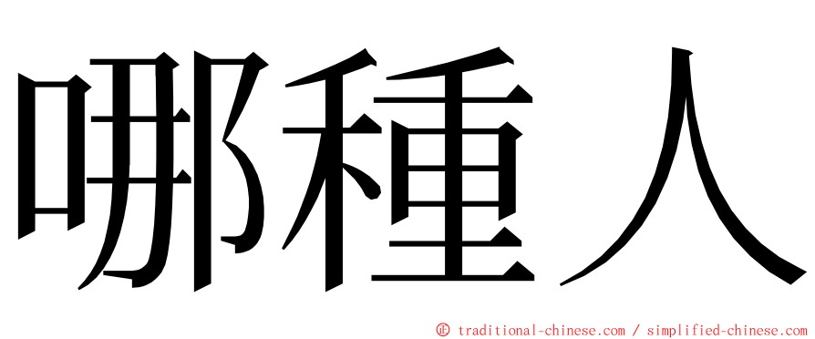 哪種人 ming font