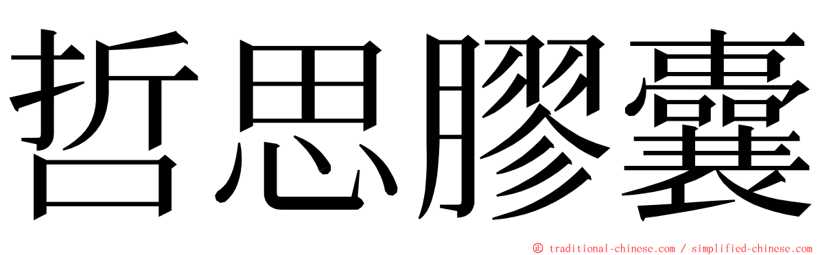 哲思膠囊 ming font