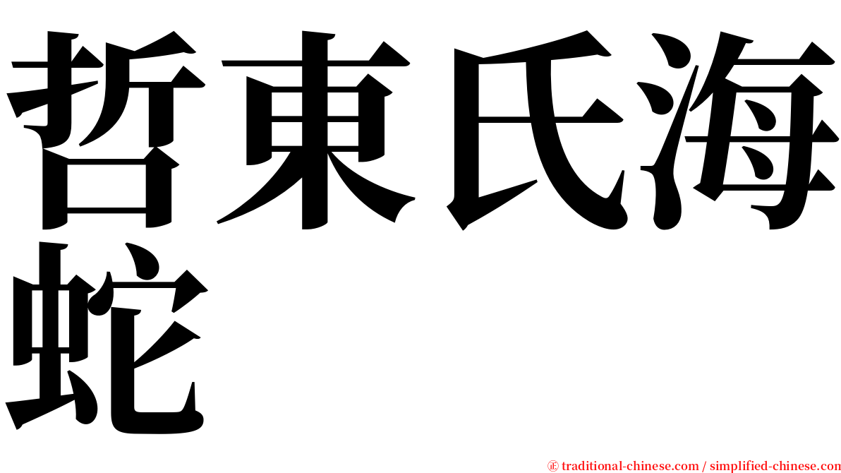 哲東氏海蛇 serif font