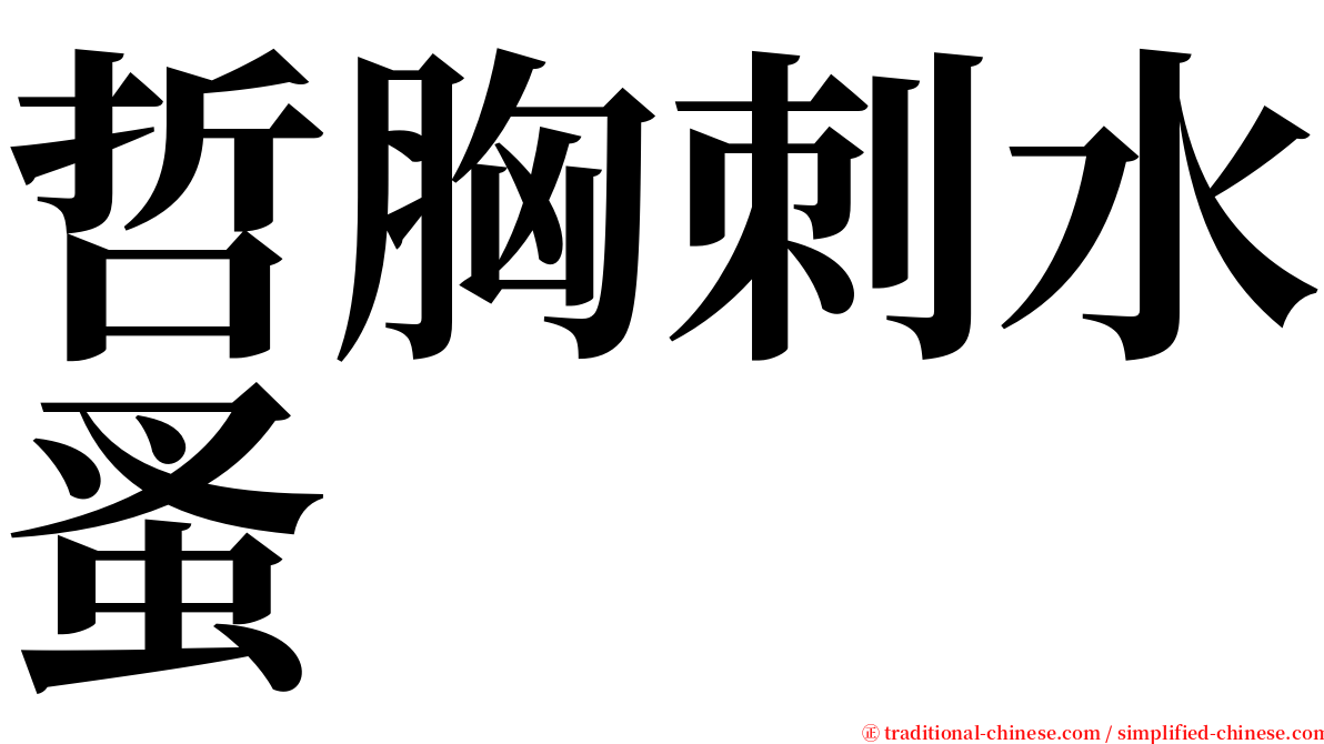 哲胸刺水蚤 serif font