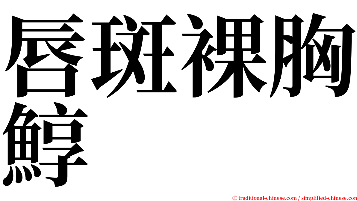 唇斑裸胸鯙 serif font