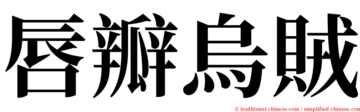 唇瓣烏賊 serif font