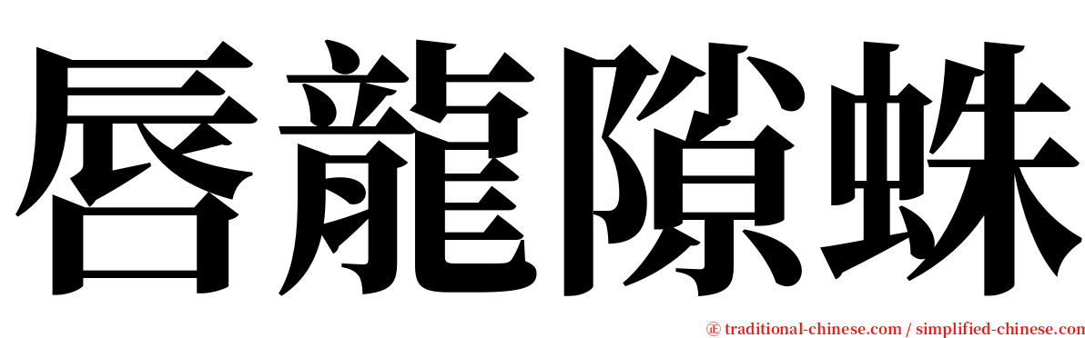 唇龍隙蛛 serif font