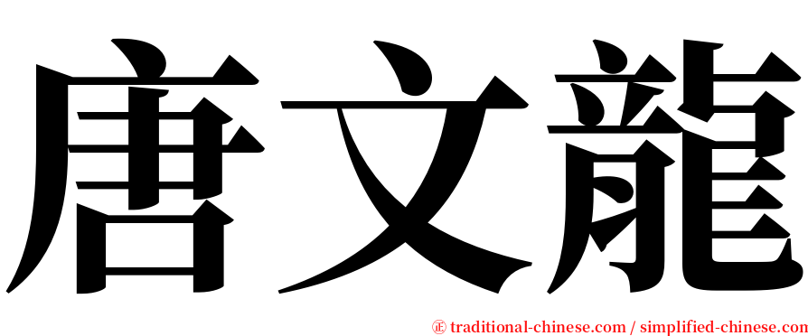 唐文龍 serif font