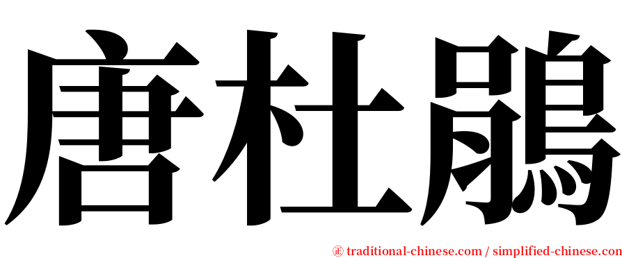 唐杜鵑 serif font