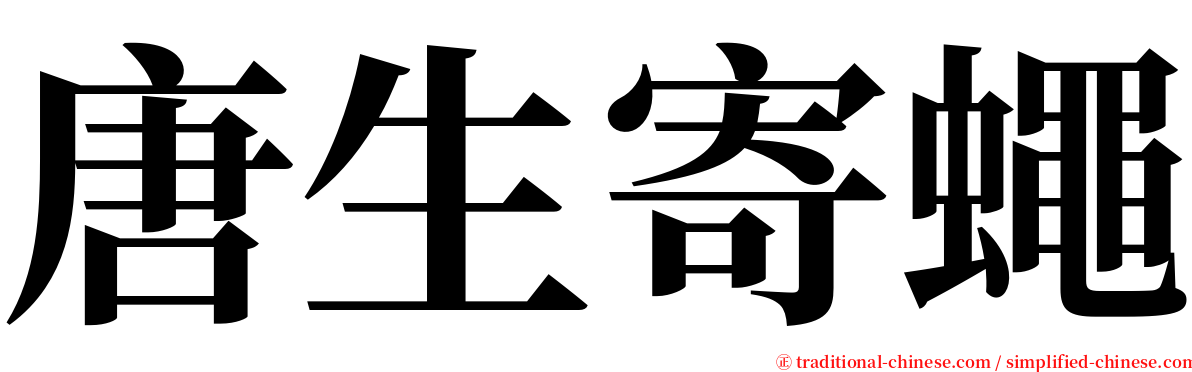 唐生寄蠅 serif font