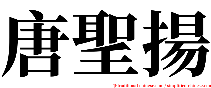 唐聖揚 serif font