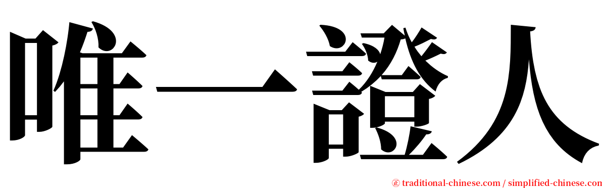 唯一證人 serif font