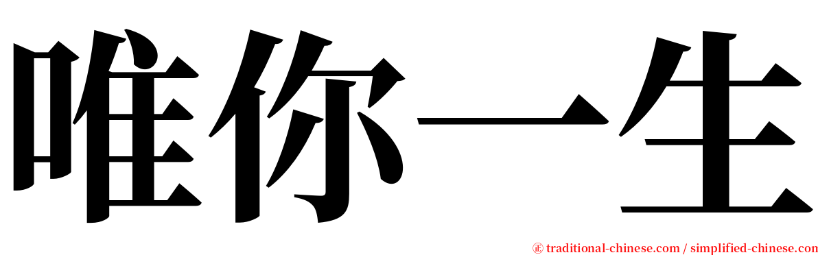 唯你一生 serif font