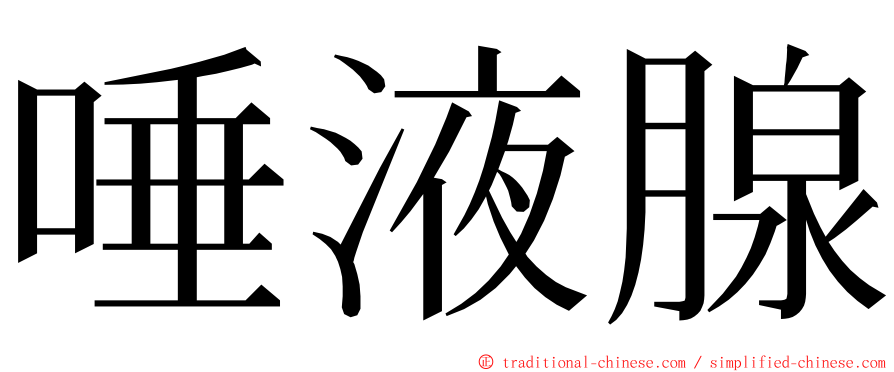 唾液腺 ming font