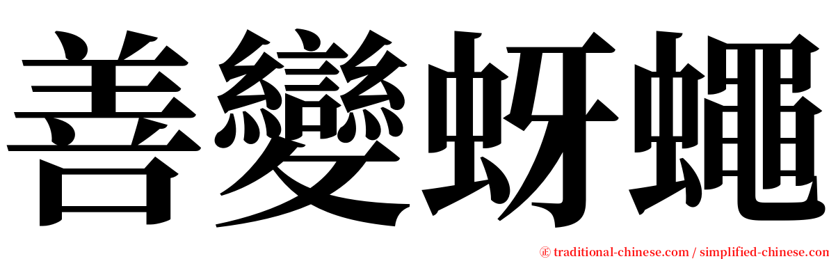 善變蚜蠅 serif font