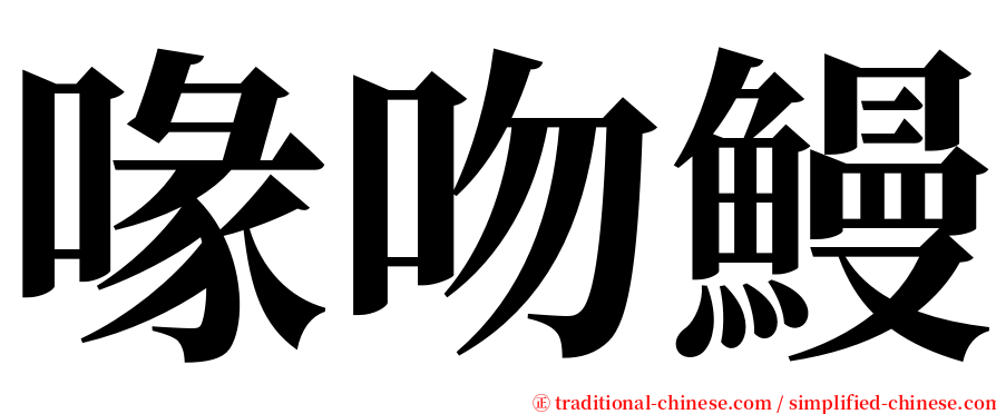 喙吻鰻 serif font