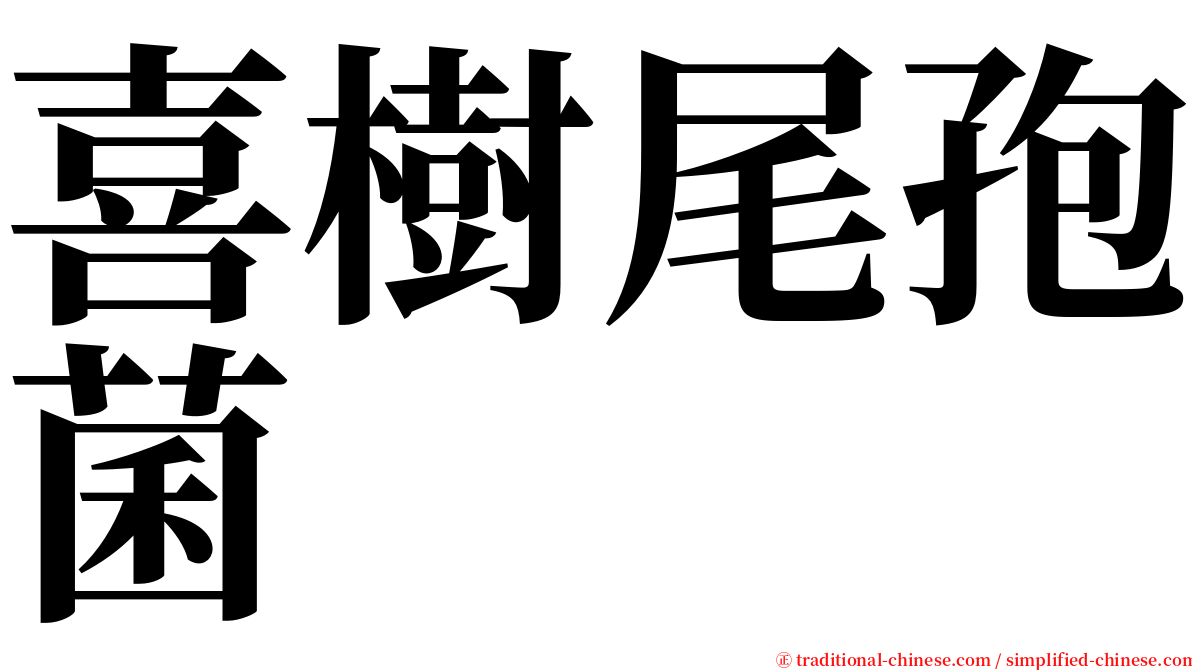 喜樹尾孢菌 serif font