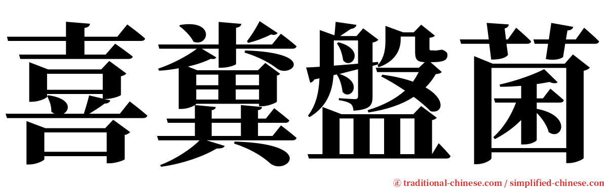 喜糞盤菌 serif font