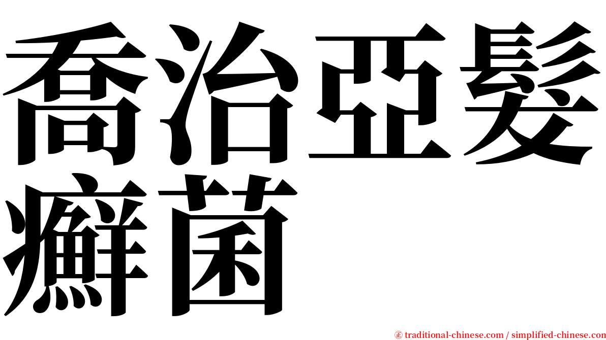 喬治亞髮癬菌 serif font