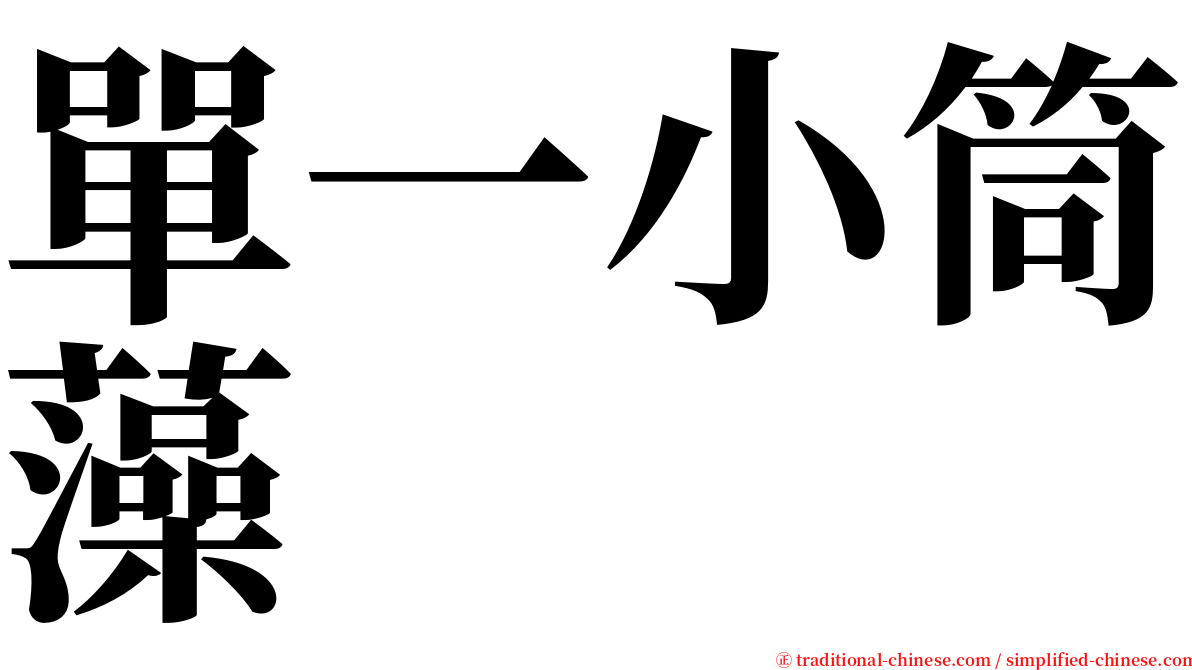 單一小筒藻 serif font