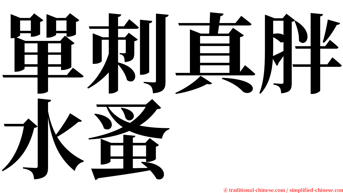 單刺真胖水蚤 serif font